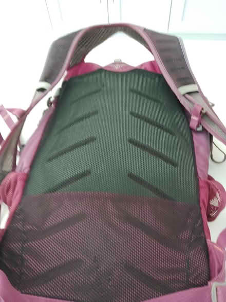 Photo of free Rucksack (SL6 Holyport/ Bray) #2