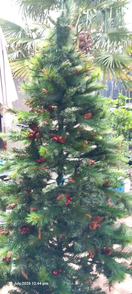 Photo of free Artificial 6ft Christmas Tree (Shiphay TQ2) #4