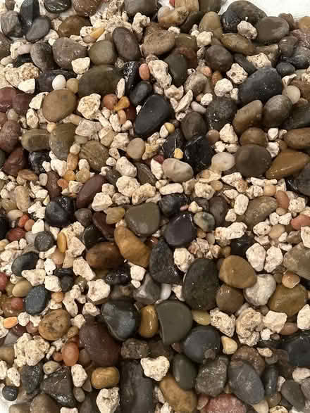 Photo of free Zoo Med Aquatic River Pebbles (Port Murray, NJ) #2