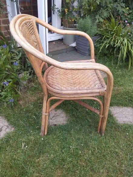 Photo of free Bamboo Chair (Foord CT19) #3