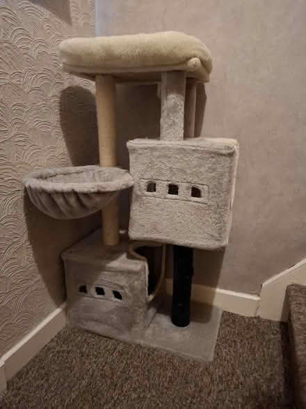 Photo of free Cat scratchers/climber (Cleehill SY8) #4