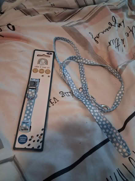 Photo of free Puppy collar and lead (NE10 0 Felling) #1