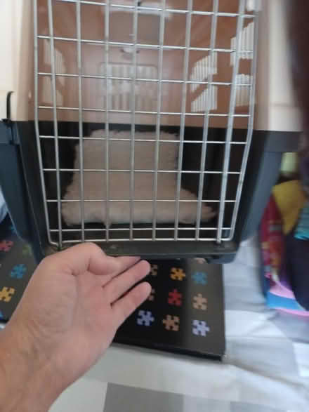 Photo of free Large pet carrier (Parkwood Rainham ME8) #2