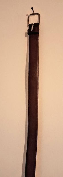 Photo of free Belt (Bellevue EH7) #1