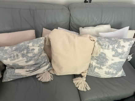 Photo of free Pillows (Islington N1) #1