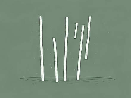 Photo of Garden canes (Ashurst BN44) #1