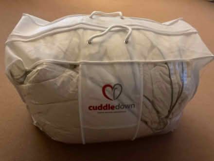 Photo of free King size goose down duvet. (Hook Heath GU22) #1