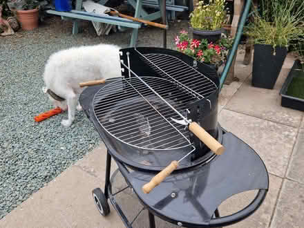 Photo of free Charcoal barbecue (Four Crosses SY22) #3