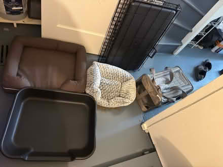 Photo of free Assorted dog beds, carrier, & crate (Lakeshore and Wayne) #1