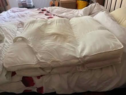 Photo of free Chunky, single mattress topper (Shephall SG2) #1