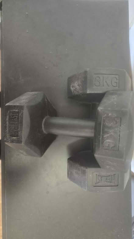 Photo of free Pair of 3kg Everlast hex dumbbells (Knowle BS4) #1