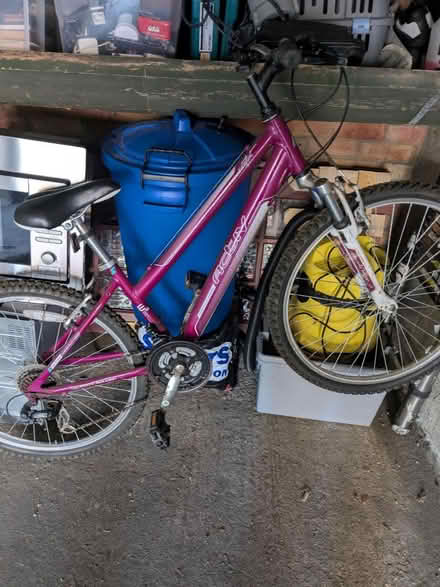Photo of free Ladies girls mountain bike (Bh151sd) #1