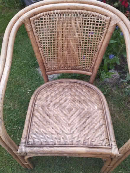 Photo of free Bamboo Chair (Foord CT19) #1
