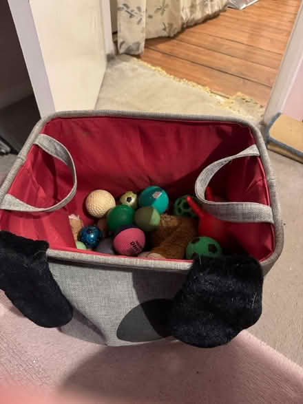 Photo of free Pet toys (Kimpton, SG4) #1