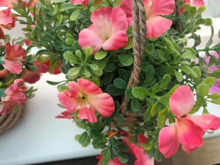 Photo of free 2 artificial plants pink flowers (Melksham) #2
