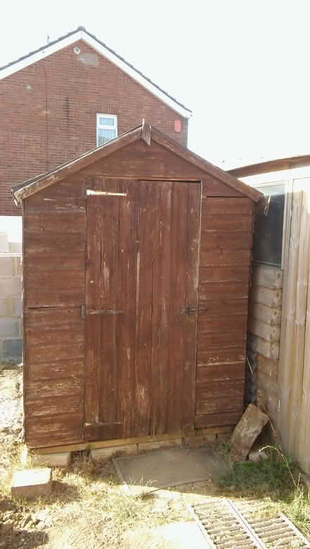 Photo of free 7ft by 5ft Shed (Old Walcot SN3) #3