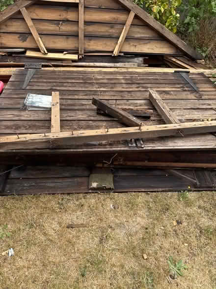Photo of free Wood from shed (Thorpe St Andrew NR7) #1