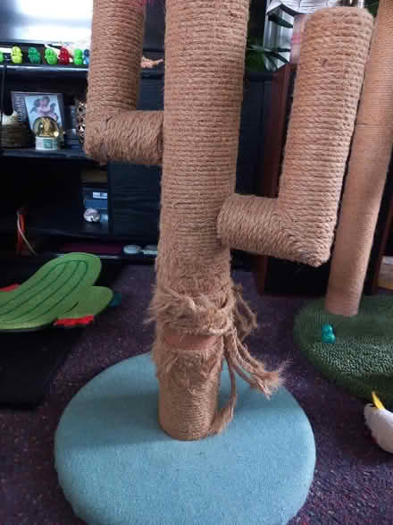Photo of free Tall cat scratcher (Collyhurst M40) #2