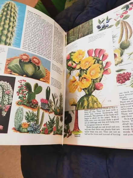 Photo of free Picture book for collages (Eastbourne BN21) #3