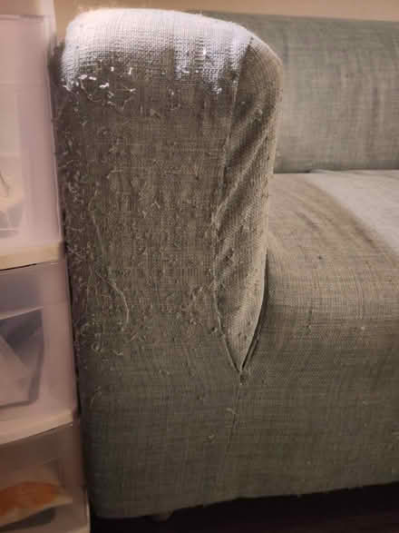 Photo of free Loveseat couch - IKEA Klippan (Capitol Hill) #3