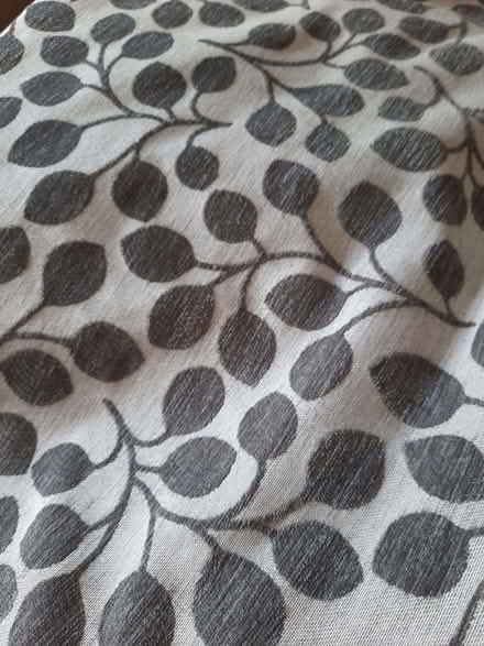 Photo of free Curtains (Cosham PO6) #1