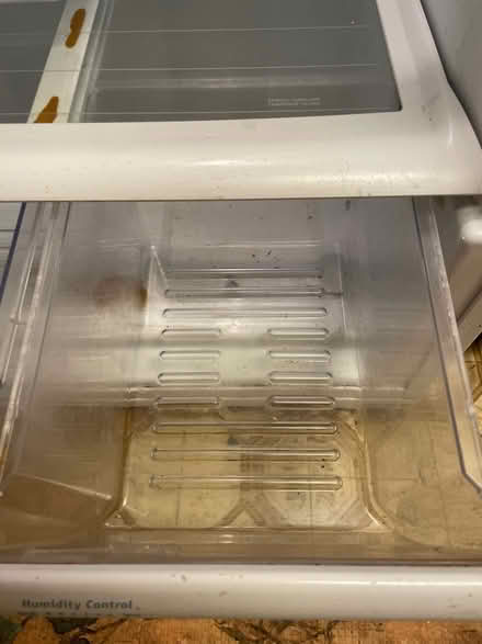 Photo of free Whirlpool fridge (N. Shoreline / 15th Ave NE) #2
