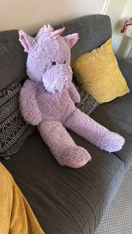 Photo of free Big unicorn teddy (Hemel Hempstead HP2) #1
