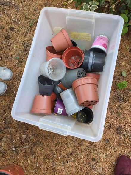 Photo of free Plastic plant pots (Hersham KT12) #1