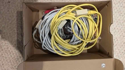Photo of free Collection of ethernet cables (Sidney Road KT12) #1