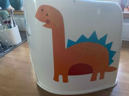 Photo of free Clean Dino potty (Tonbridge TN10) #4