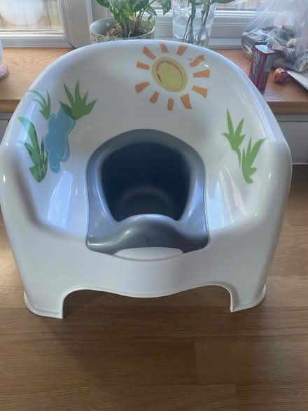 Photo of free Clean Dino potty (Tonbridge TN10) #1