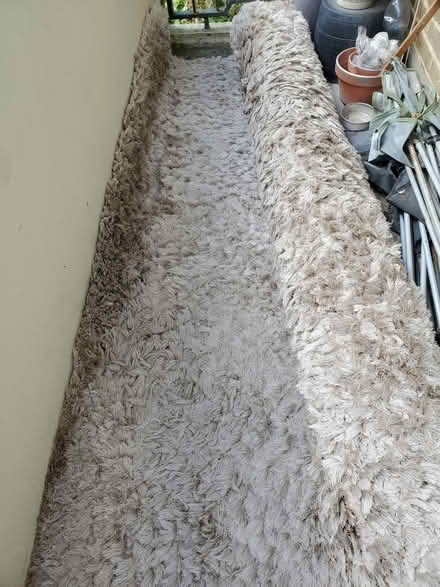 Photo of free Rug (Ct117rp) #2