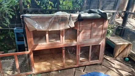 Photo of free rabbit hutch & cover (Brockworth GL3) #1