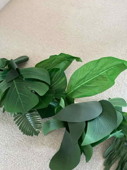 Photo of free 2m long jungle leaf Garland (Ingatestone CM4) #3