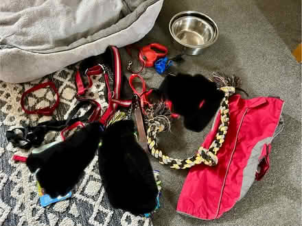 Photo of free Dog stuff (Plumpton CA11) #1