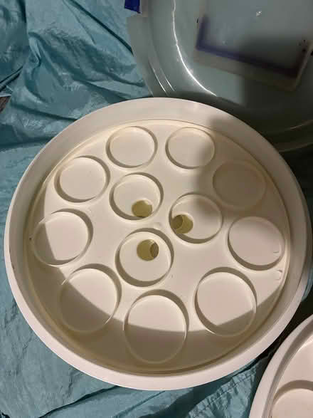 Photo of free Pie/deviled egg carrier (Secane) #3