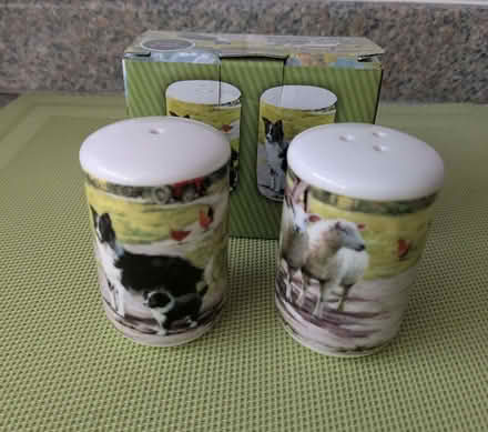 Photo of free Ceramic salt and pepper shakers (Beulah Hill SE19) #1