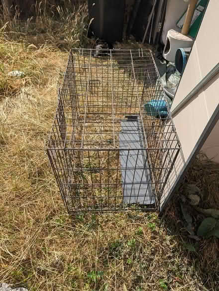 Photo of free Animal crate (Willenhall WV12) #1