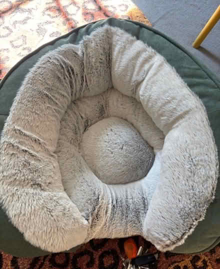 Photo of free Large cat bed (Borough) #1