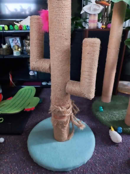 Photo of free Tall cat scratcher (Collyhurst M40) #3