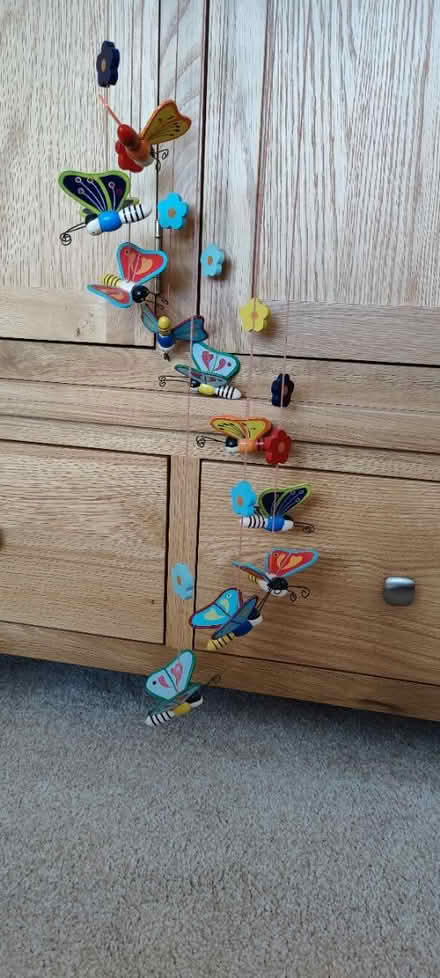 Photo of free Butterfly Mobile (Gosforth NE3) #1