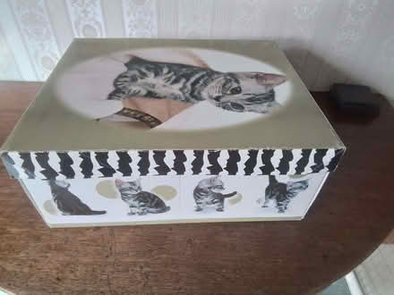 Photo of free Large Cardboard Box with Cat Photos (Pantymwyn CH7) #2