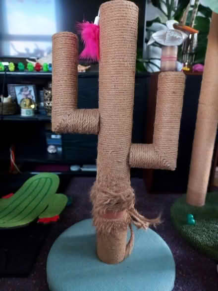 Photo of free Tall cat scratcher (Collyhurst M40) #1