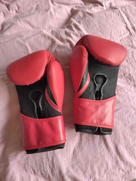 Photo of free Boxing gloves (IG11 Barking) #2