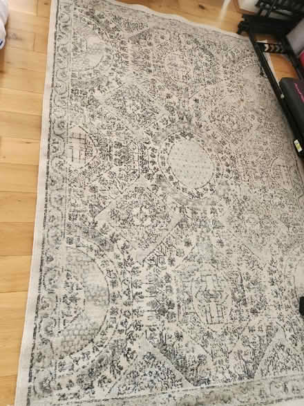 Photo of free Grey Rug 230/ 150 (PR9 0EA) #1