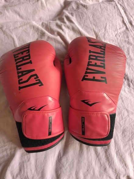 Photo of free Boxing gloves (IG11 Barking) #1