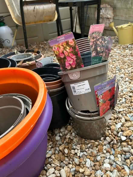 Photo of free Flower pots (Kingsnorth TN23) #4