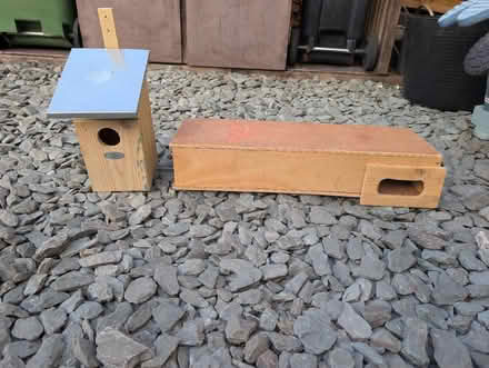 Photo of free Bird boxes (Combe Down BA2) #1
