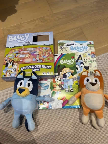 Photo of free Bluey bundle (Hoddesdon EN11) #1