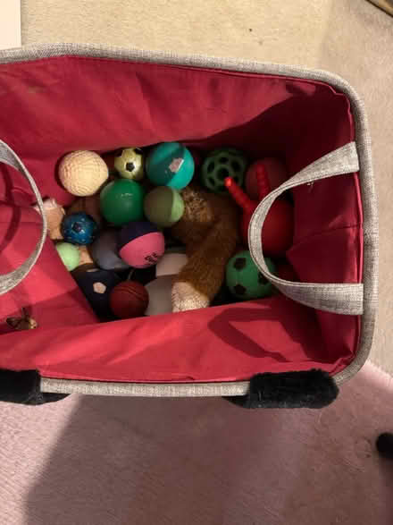 Photo of free Pet toys (Kimpton, SG4) #2